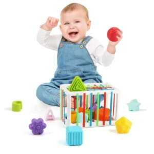 Shape Sorting Toy