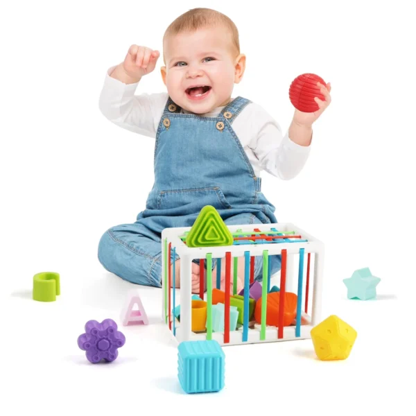 Shape Sorting Toy
